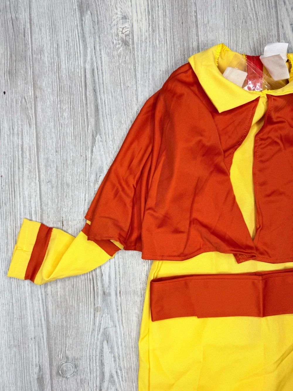 Halloween Costumes avatar aang